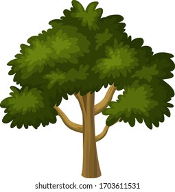 Ein großer Baum auf weißem Hintergrund, Vektorgrafik