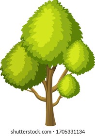 One big tree on white background illustration