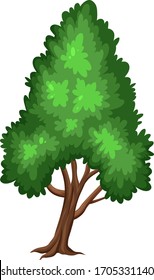 One big tree on white background illustration