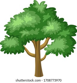 Un árbol grande en ilustración de fondo blanco
