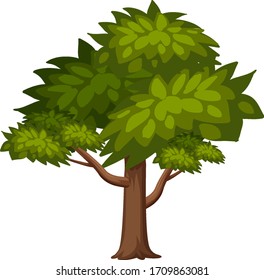 One big tree on white background illustration