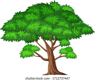 One big tree on white background illustration