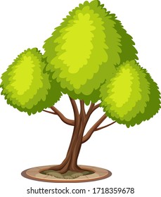 Un árbol grande en ilustración de fondo blanco