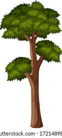 Ein großer Baum auf weißem Hintergrund, Vektorgrafik