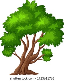 One big tree on white background illustration