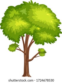 One big tree on white background illustration
