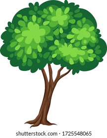 One big tree on white background illustration