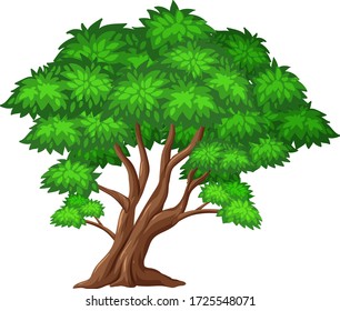 One big tree on white background illustration