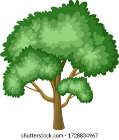 Un árbol grande sobre la ilustración de fondo blanco