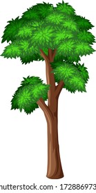 One big tree on white background illustration