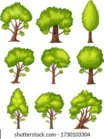 One big tree on white background illustration