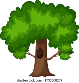 One big tree on white background illustration