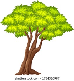 One big tree on white background illustration