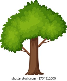 One big tree on white background illustration