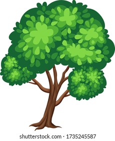 One big tree on white background illustration