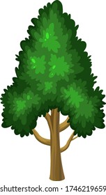 One big tree on white background illustration