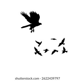 Ein Angriff von einem Vogel auf andere Vögel fliegen, indem sie mit ihren Flügeln schlagen, mit Luftströmen zum Heben und Gleiten durch den Himmel.
