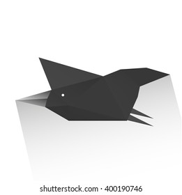 One black bird with long shadow, isolated on white background