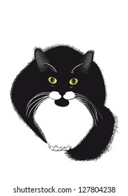 One black cat on a white background