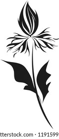 One black flower