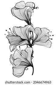 One black outline flower, branch and leaves.Isolated on white background.Hand drawn.For floral design, cosmetic products,greeting card,invitations,coloring book.Vector stock illustration.