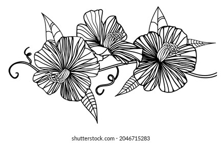 One black outline flower, branch and leaves.Isolated on white background.Hand drawn.For floral design, cosmetic products,greeting card,invitations,coloring book.Vector stock illustration.