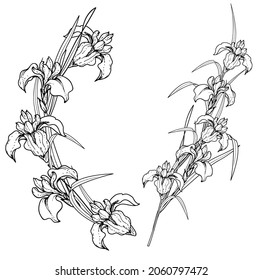 One black outline flower, branch and leaves.Isolated on white background.Hand drawn.For floral design, cosmetic products,greeting card,invitations,coloring book.Vector stock illustration.