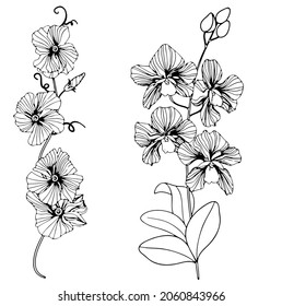 One black outline flower, branch and leaves.Isolated on white background.Hand drawn.For floral design, cosmetic products,greeting card,invitations,coloring book.Vector stock illustration.