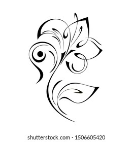 one blooming flower with large petals on a short stem with one leaf in black lines on a white background
