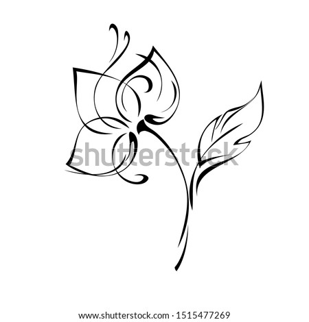 one blooming flower with large petals on a short stem with one leaf in black lines on a white background
