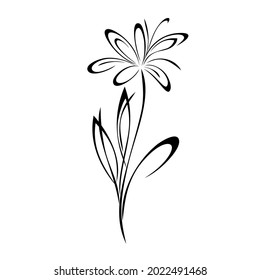 one blossoming stylized flower on a stem with leaves in black lines on a white background
