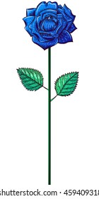 One blue rose on the stalk drawing, isolated on white
