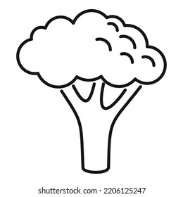 One brocoli icon outline vector. Vegetable cabbage. Plant salad