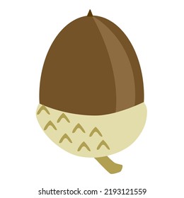 One brown acorn on white background. Cartoon style illustration of an oak acorn.