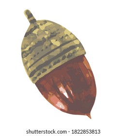 One brown acorn. Watercolor painting