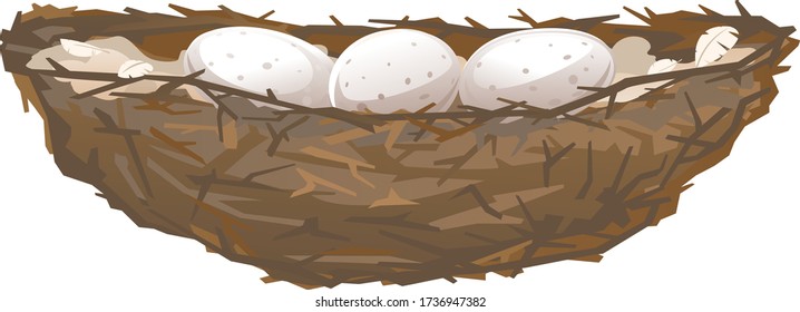 One brown bird nest with three eggs in side view from small branches isolated, small nest of thin branches and feathers