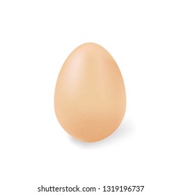 One brown egg isolated on white background. Vector illustration