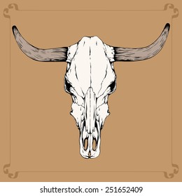 one bull (cow) skull with horns isolated on a terracotta background