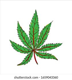 Ein Cannabisblatt in den Farben Grün, Rot, Gelb, Schwarz, ein mehrfarbiges, stylisiertes Cannabisblatt auf weißem Hintergrund, Skizze mit schwarzer Linie. Vektorillustration.