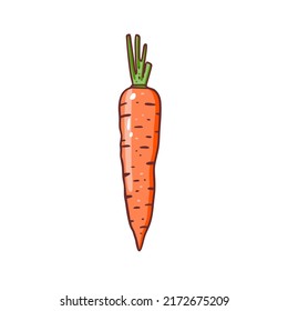 One carrot colorful doodle art style vector illustration