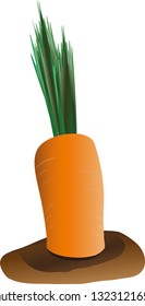 One carrot was drawn from the ground