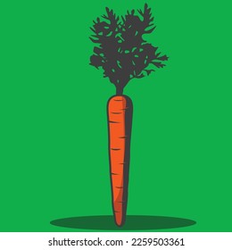 one carrot isolated with green background