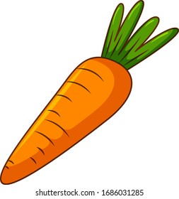 One carrot on white background illustration
