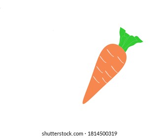 One carrot vector on white background illustration