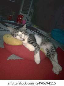 one cat is resting on a soft pillow