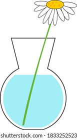 one chamomile flower in a vase	
