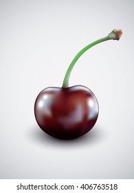 One cherry isolated on white background. Vector illustration.