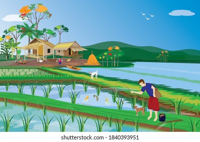one child fishing in paddy field vector design,lifestyle of people at countryside