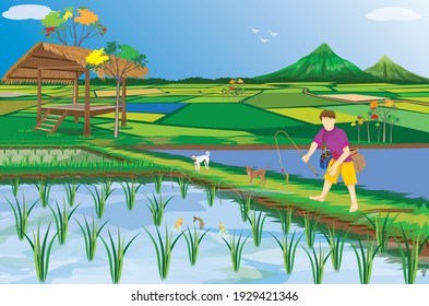 one child fishing in paddy field vector design,lifestyle of people at countryside