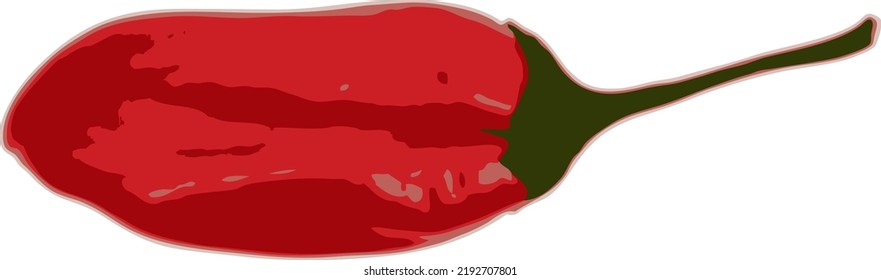 one chili pepper on a white background. vector art